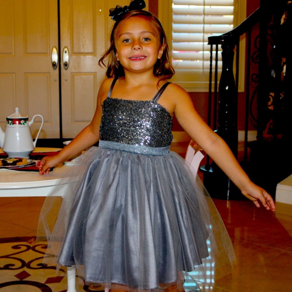 Petite Adele Gray/Silver Holiday Dress Sizes 4,6,8